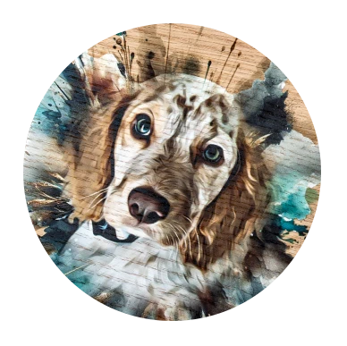 Neldi Art Gallery - Pet Portrait