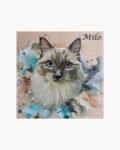 neldi art gallery product Splash Art Portrait on wood 39