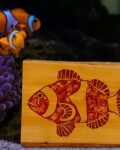 Neldi art gallery product clown fish concept