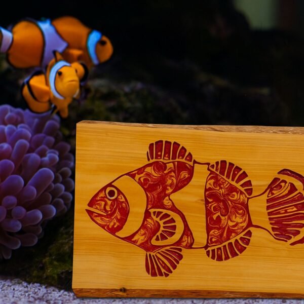 Neldi art gallery product clown fish concept