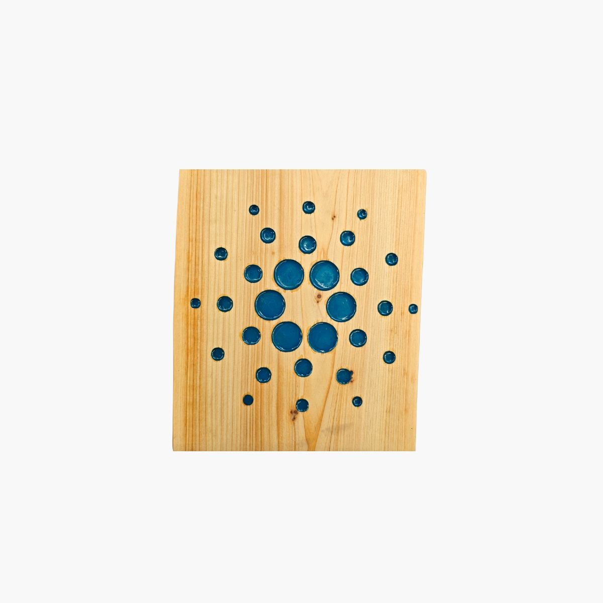neldi art gallery product Crypto Cardano Resin