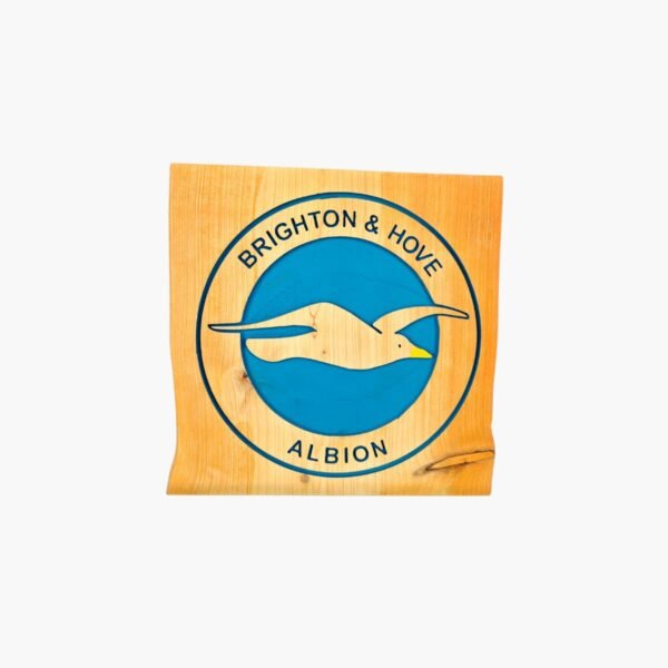neldi art gallery product Football Teams Engraved Brighton Hove Albion