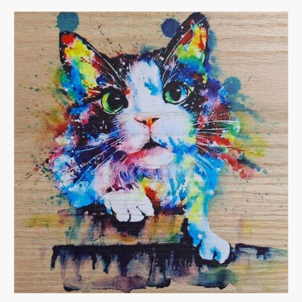 neldi art gallery product animal portrait cat colorful