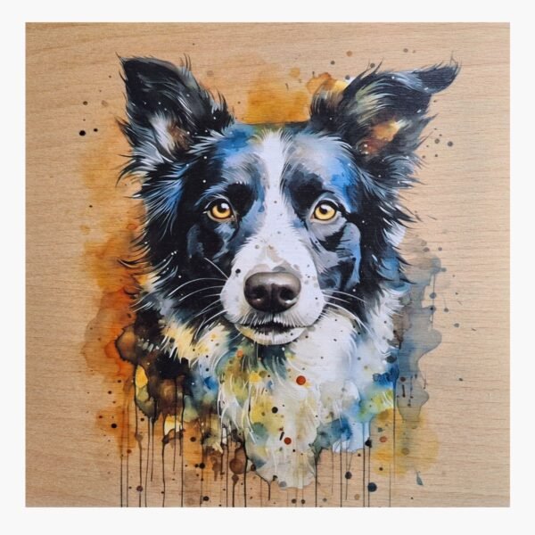 neldi art gallery product animal portrait dog Border Collie