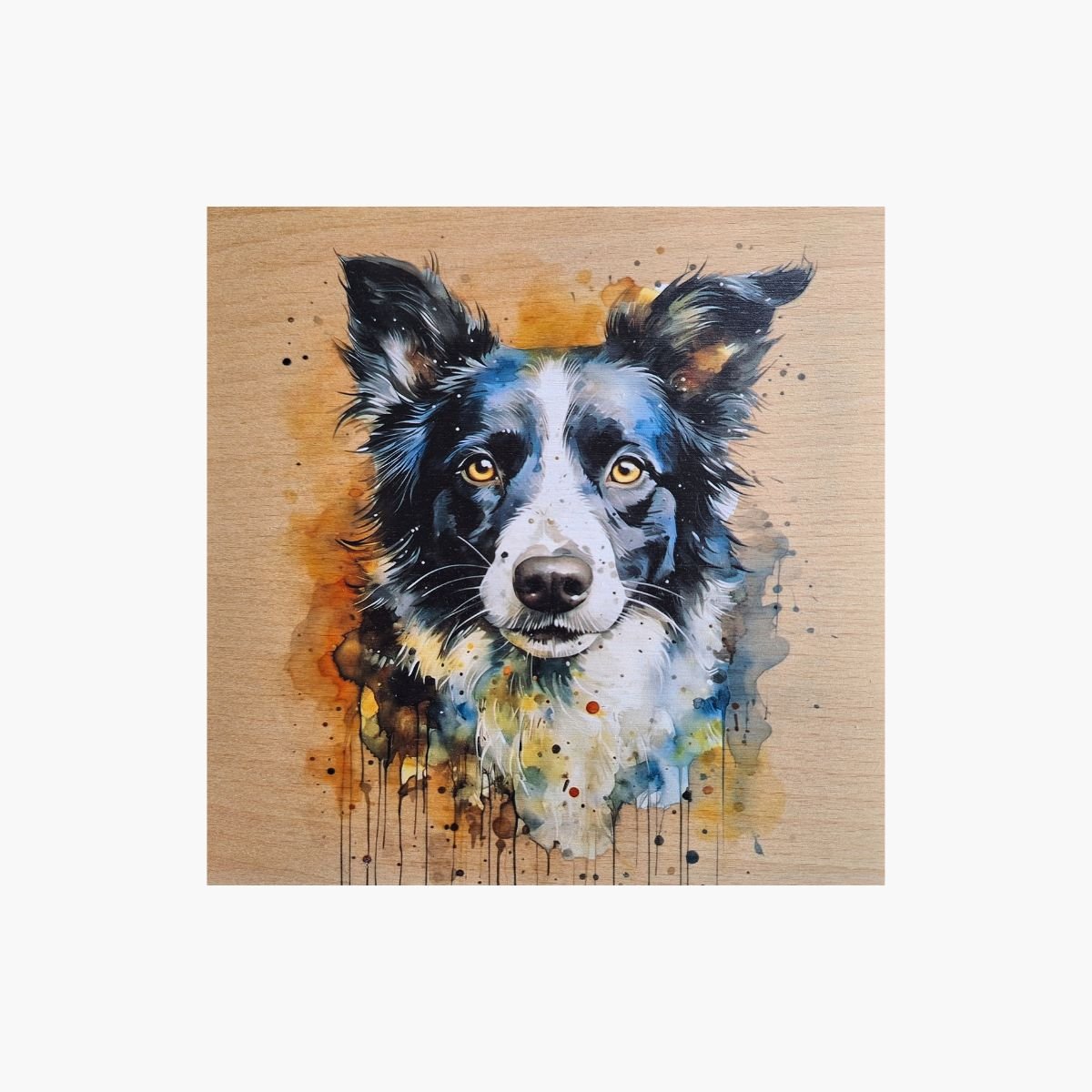 neldi art gallery product animal portrait dog Border Collie