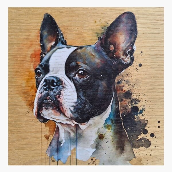 neldi art gallery product animal portrait dog Boston Terrier