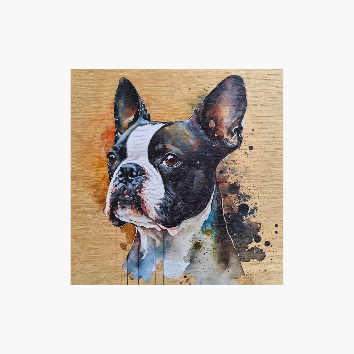 neldi art gallery product animal portrait dog Boston Terrier