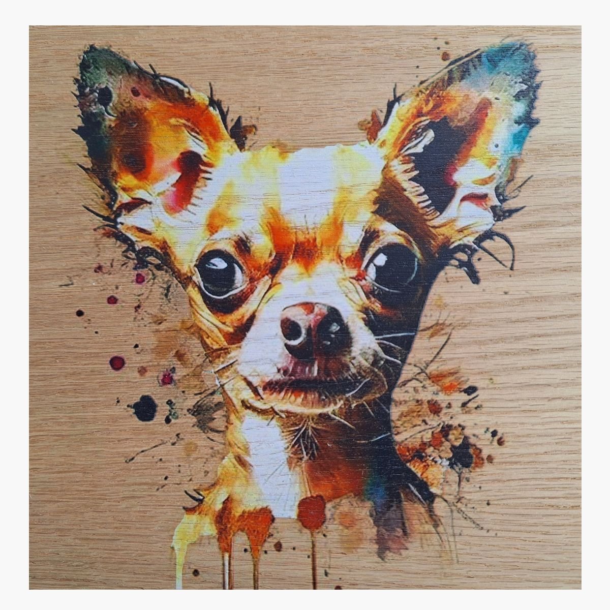 neldi-art-gallery-product-animal-portrait-dog-Chihuahua neldi art gallery product animal portrait dog Chihuahua