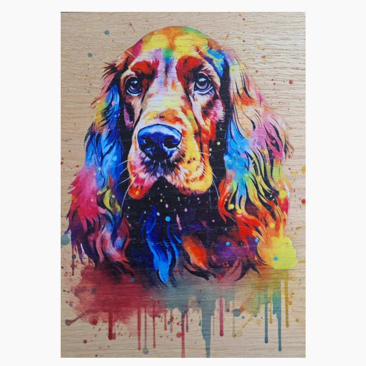 neldi art gallery product animal portrait dog Cocker Spaniel Colorful