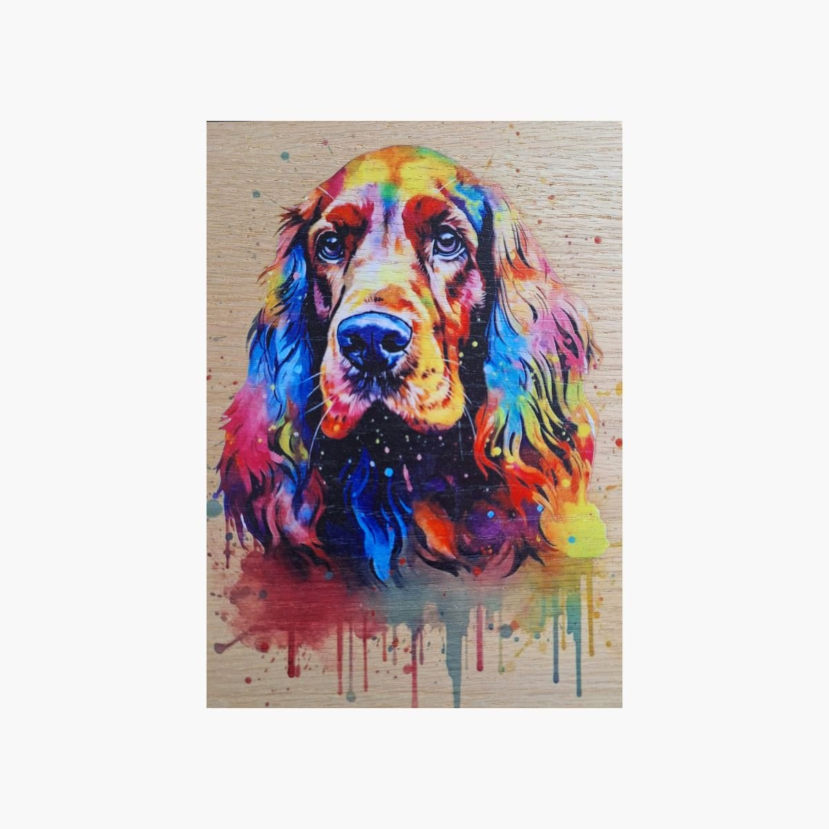 neldi art gallery product animal portrait dog Cocker Spaniel Colorful