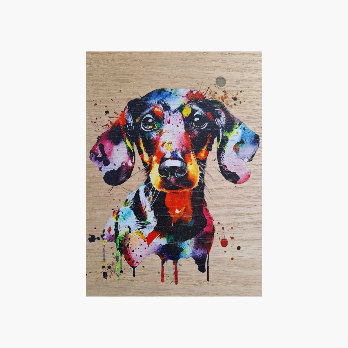 neldi art gallery product animal portrait dog Sausage Dog
