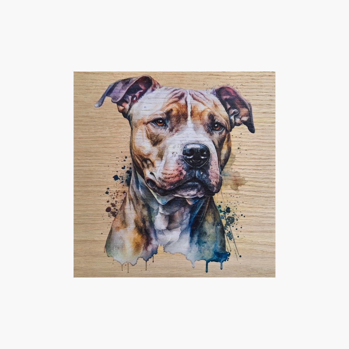 neldi art gallery product animal portrait dog Staffy
