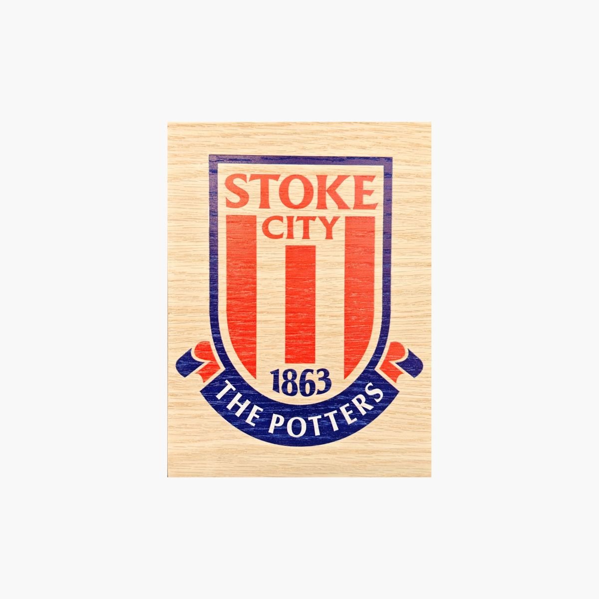 neldi art gallery product Football Teams wood Prints Stoke City